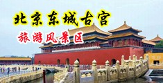 操啊啊啊啊av中国北京-东城古宫旅游风景区